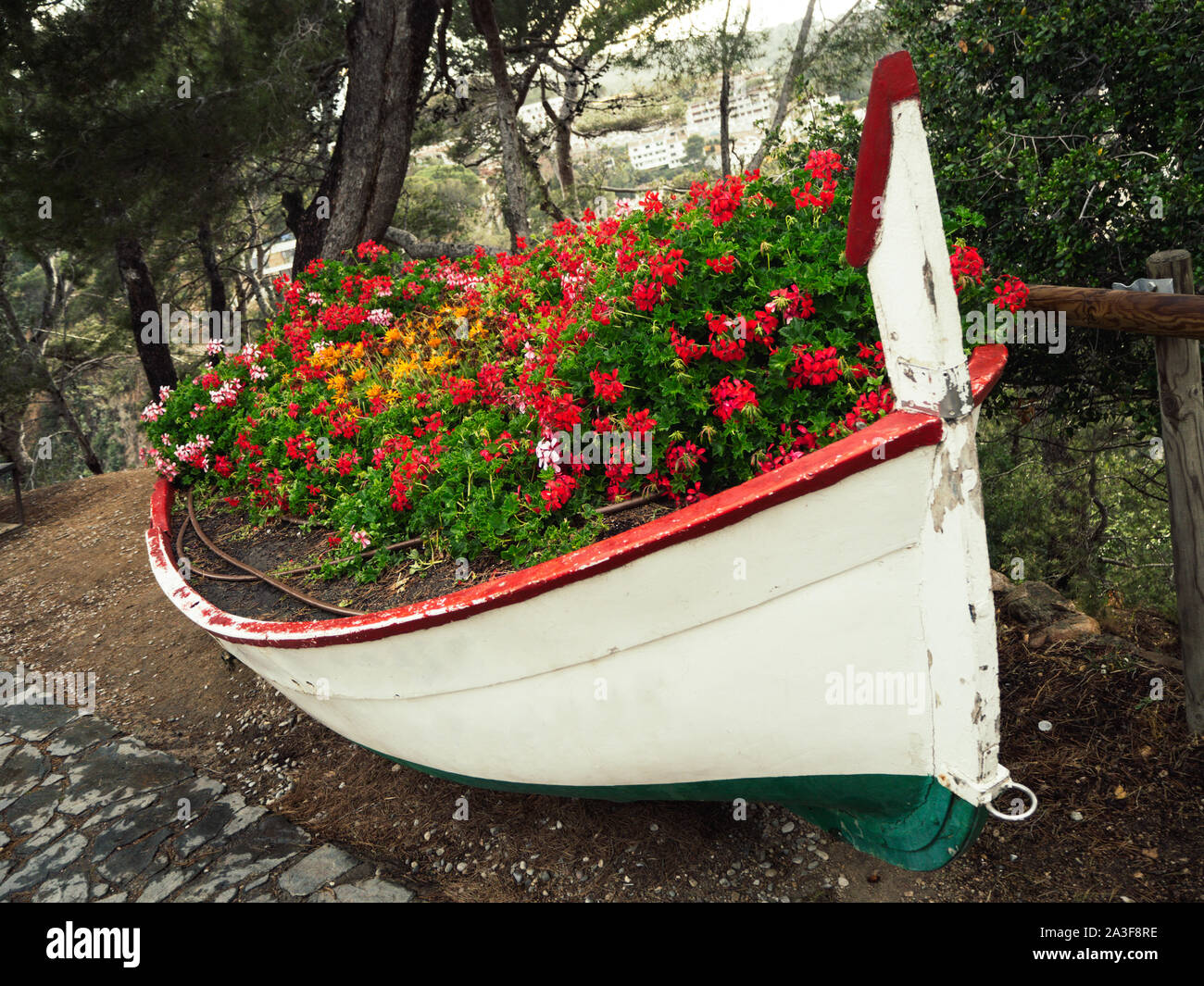 Vecchia barca da pesca riempito con fiori colorati Foto Stock