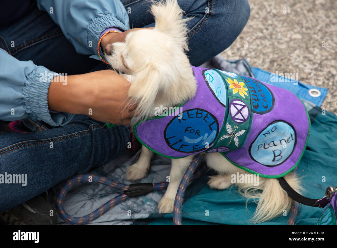 Londra, Regno Unito. Il 7 ottobre 2019. Estinzione della ribellione manifestanti visto su Trafalgar Square a due settimana di protesta a Londra. Credito: Joe Kuis / Alamy News Foto Stock