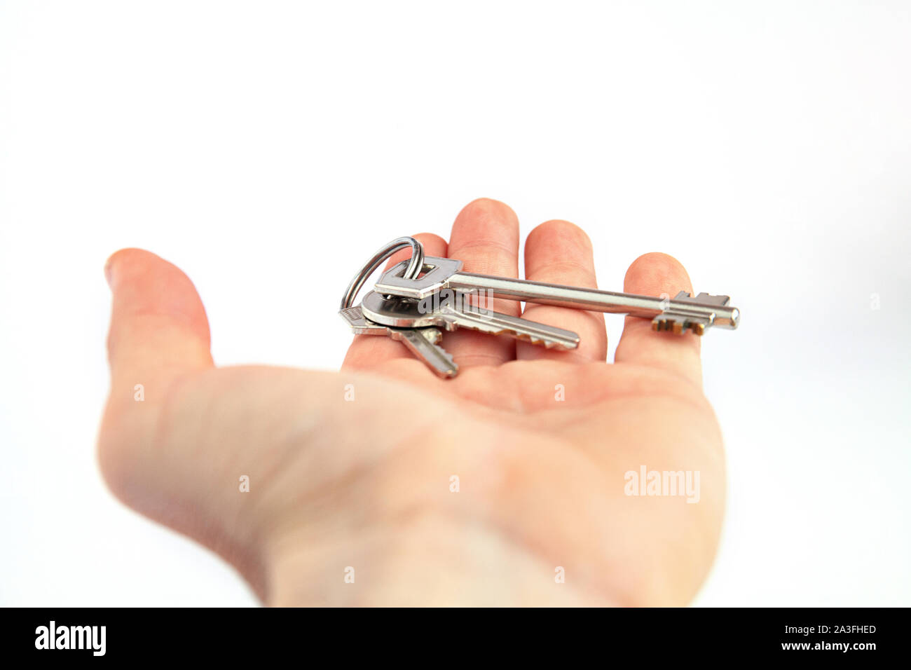 Una mano con un mazzo di chiavi. Una mano offre un mazzo di chiavi su uno sfondo bianco. Foto Stock