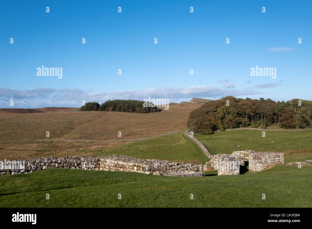 Parete di Adriano, Housesteads, Northumberland, Regno Unito: resti di mura romane che ha separato la Bretagna romana dalla Scozia. Foto Stock