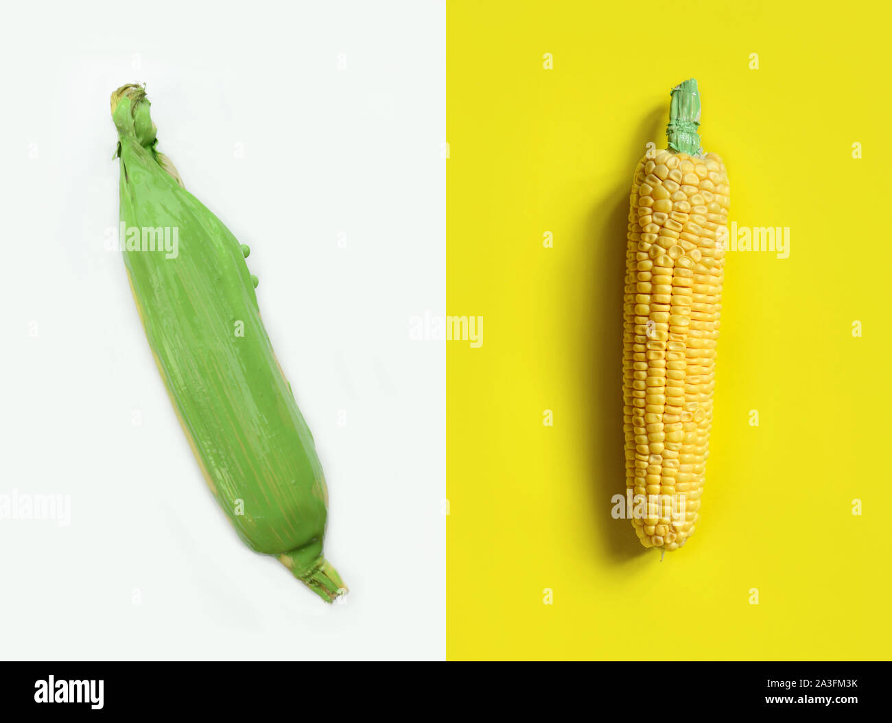 Il mais è dipinta con il pennello su sfondo bianco.idea food concept Foto Stock