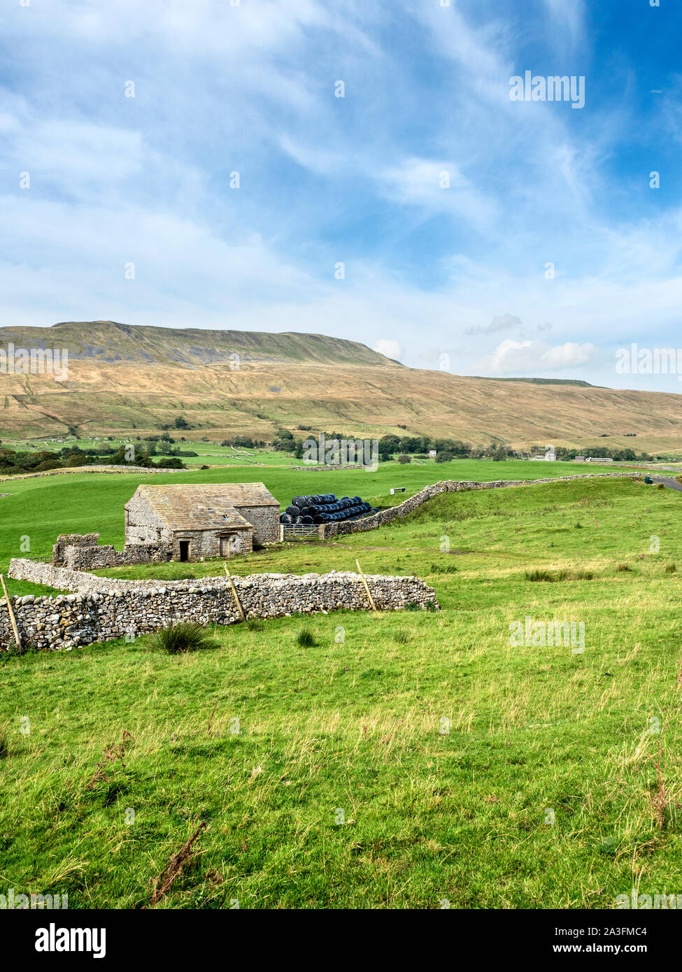 Campo remoto fienile soffiare le pendici di Whernside il picco più alto nello Yorkshire Ribblehead Yorkshire Dales National Park in Inghilterra Foto Stock