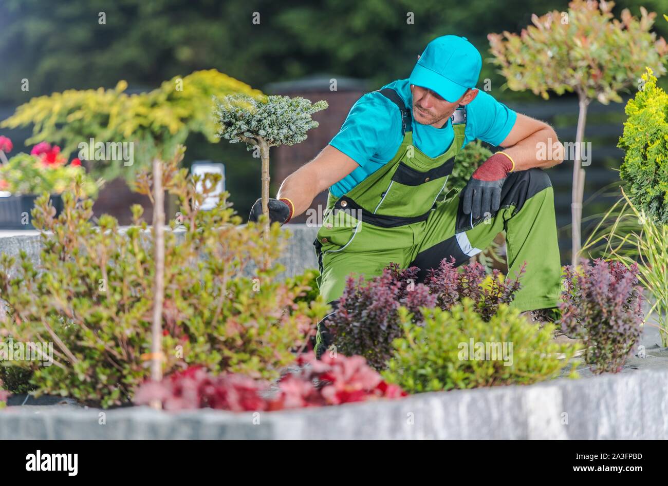 Caucasian professionale giardiniere nella sua 30s e recentemente sviluppato giardino. Piante Checkup. Industria di giardinaggio tema. Foto Stock