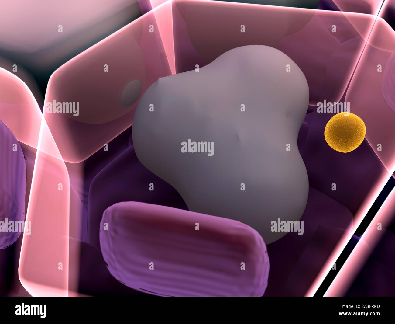 Alta qualità 3D render di cellule di grasso, campo di celle, la struttura della molecola, recettori presenti sulla superficie di cellule Foto Stock