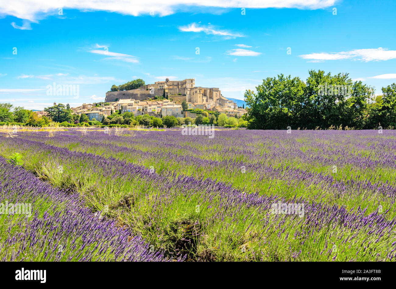 Campi di Lavanda presso il village Gordes, una piccola cittadina medievale in Provenza, meta di viaggio in Francia. Foto Stock