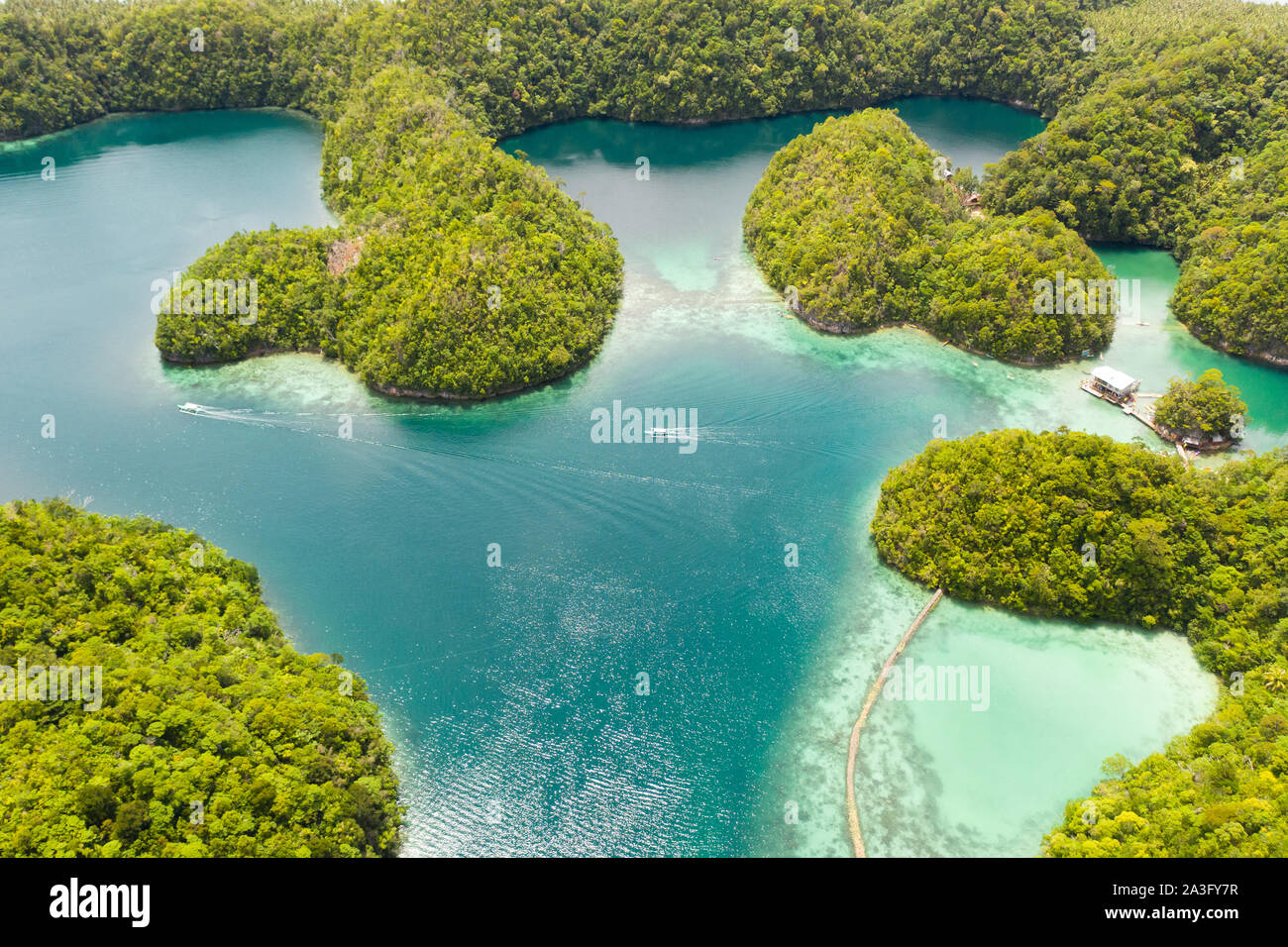 Cove e la laguna blu tra le piccole isole coperte di foresta pluviale. Sugba laguna, Siargao, Filippine. Vista aerea della laguna Sugba, Siargao,Filippine Foto Stock