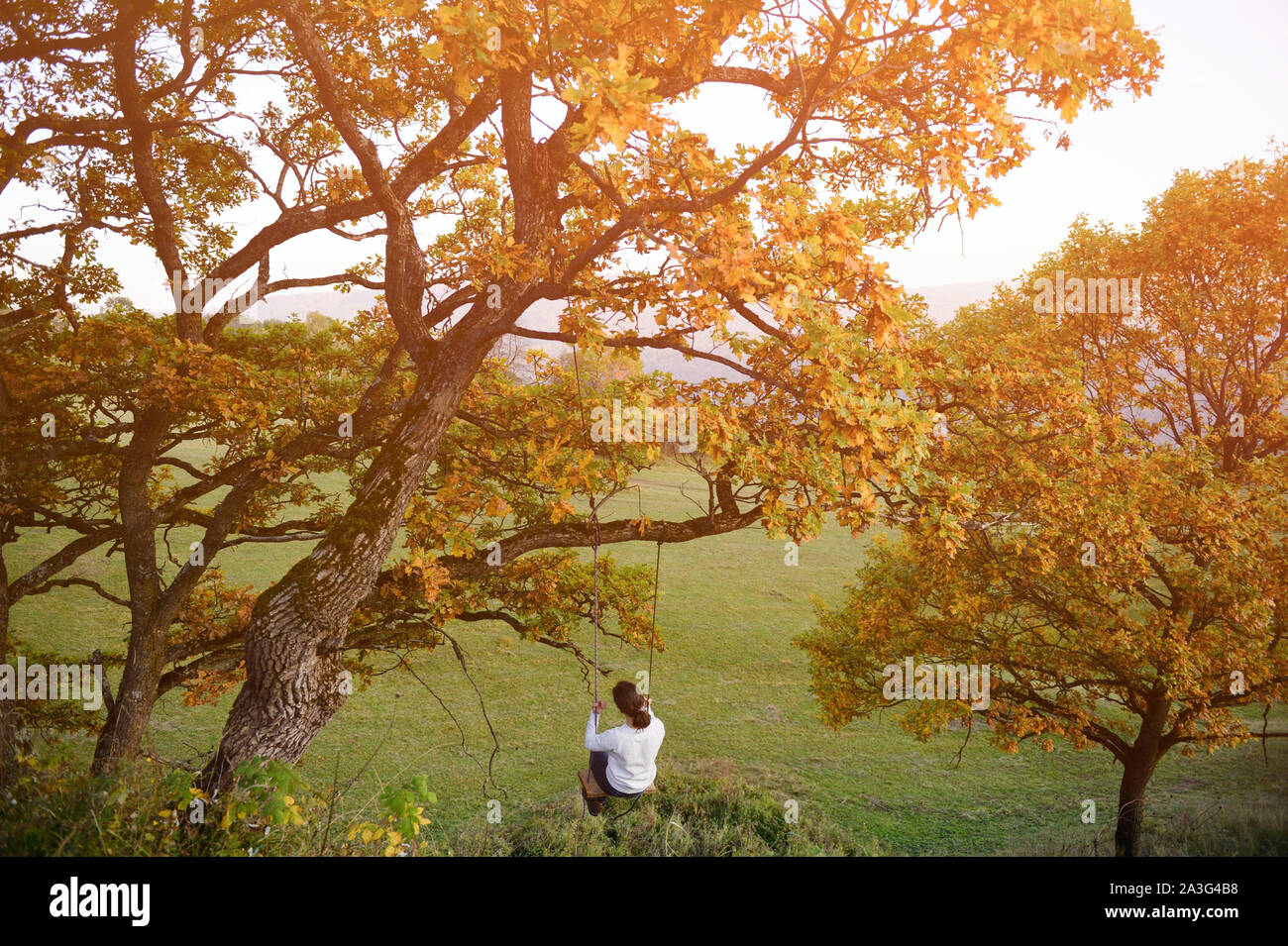 Fata onirico concetto di giovane ragazza basculante in rotazione sulla struttura ad albero con Giallo autunno foglie sul tramonto outdoor le attività per il tempo libero benessere stile di vita Foto Stock