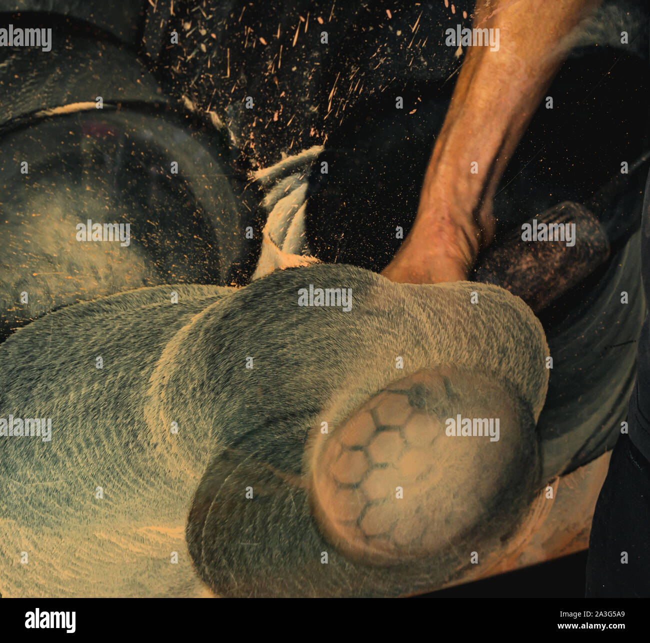 Mechanic utilizzando vetro utensile di lucidatura close-up sulla texture fatto da ossido di cerio sulla finestra Foto Stock