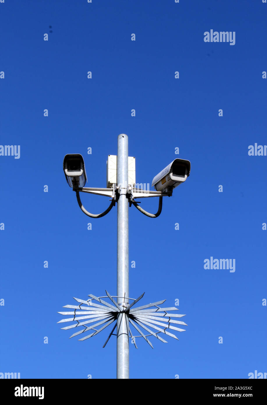 Vista verticale delle telecamere di sicurezza sul palo alto contro il profondo blu del cielo Foto Stock