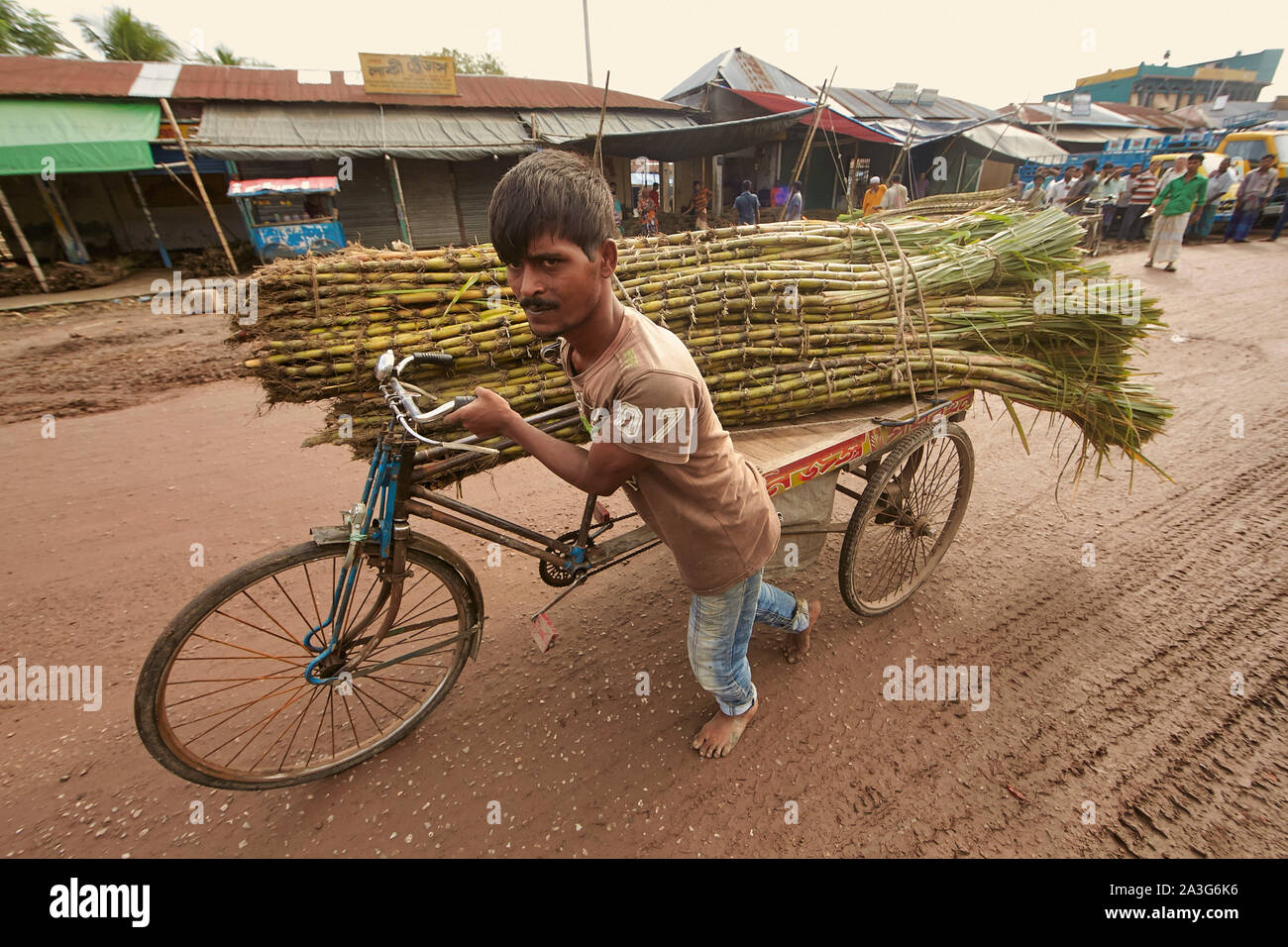 Bangladesh Khulna CSS di poveri che vivono nell'uomo slumbs portando il bambù sulla sua vettura 23-09-2014 foto: Jaco Klamer Foto Stock