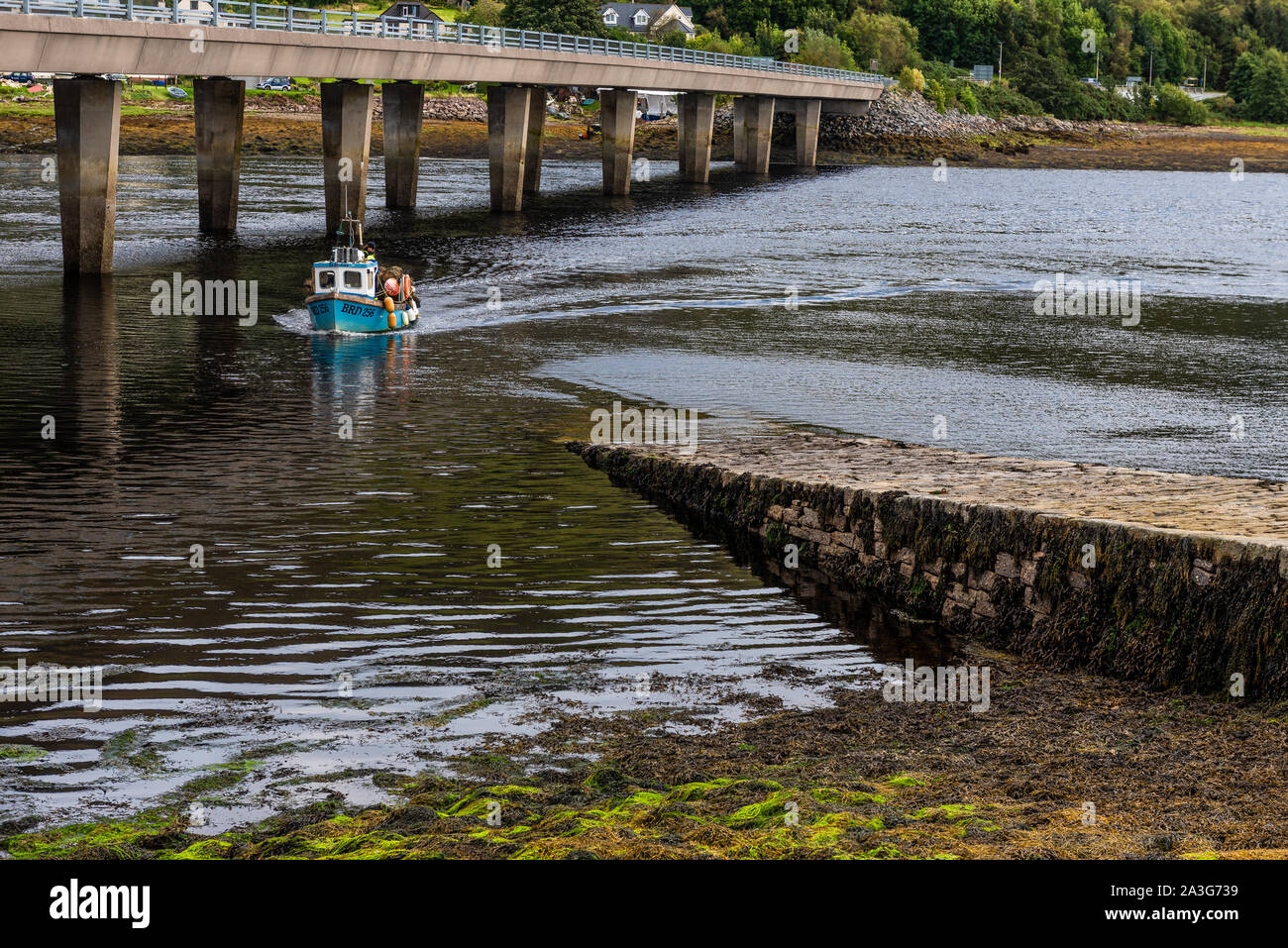 Archaddh Point, Loch Duich, Scozia Foto Stock
