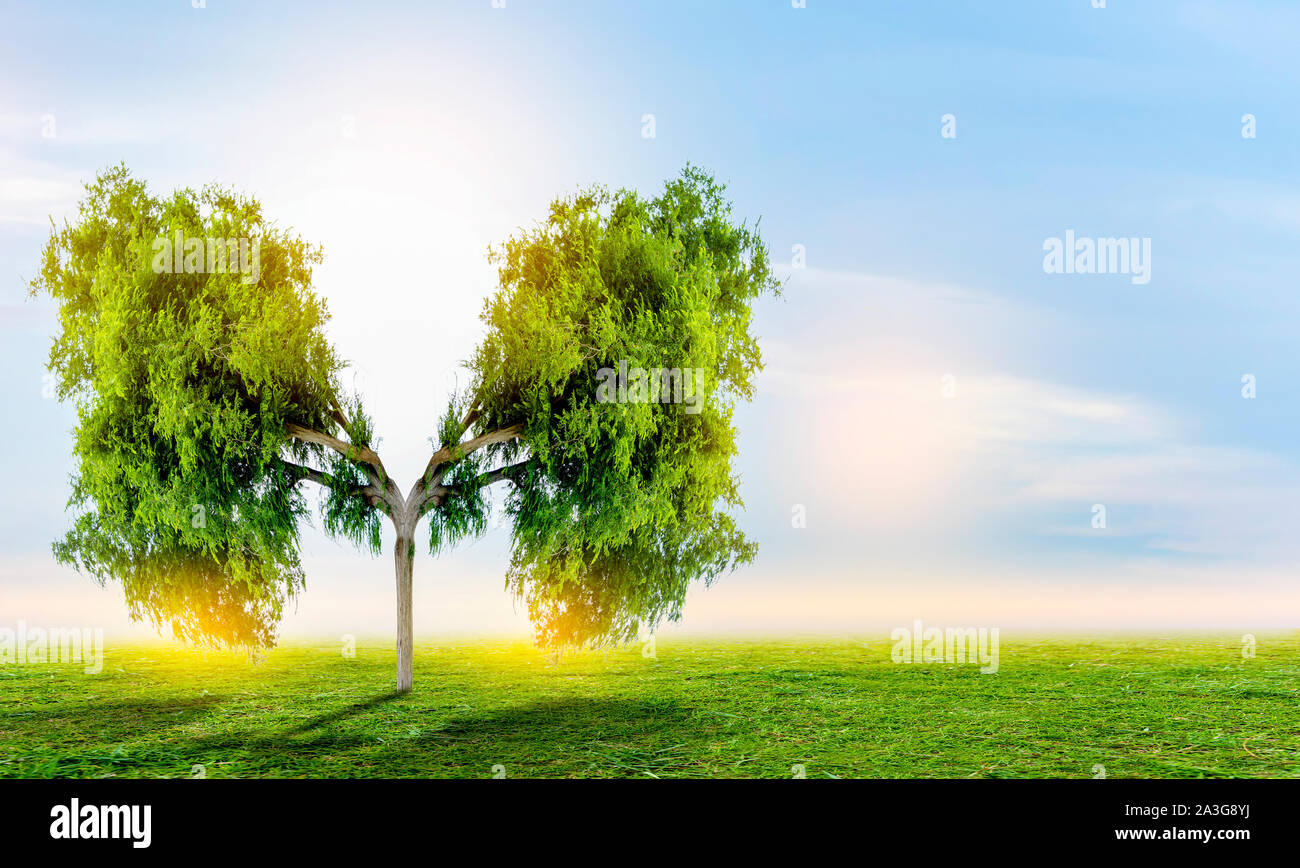 Polmone verde a forma di albero di immagini, concetti medici, autopsia, visualizzazione 3D e animali come un elemento Foto Stock