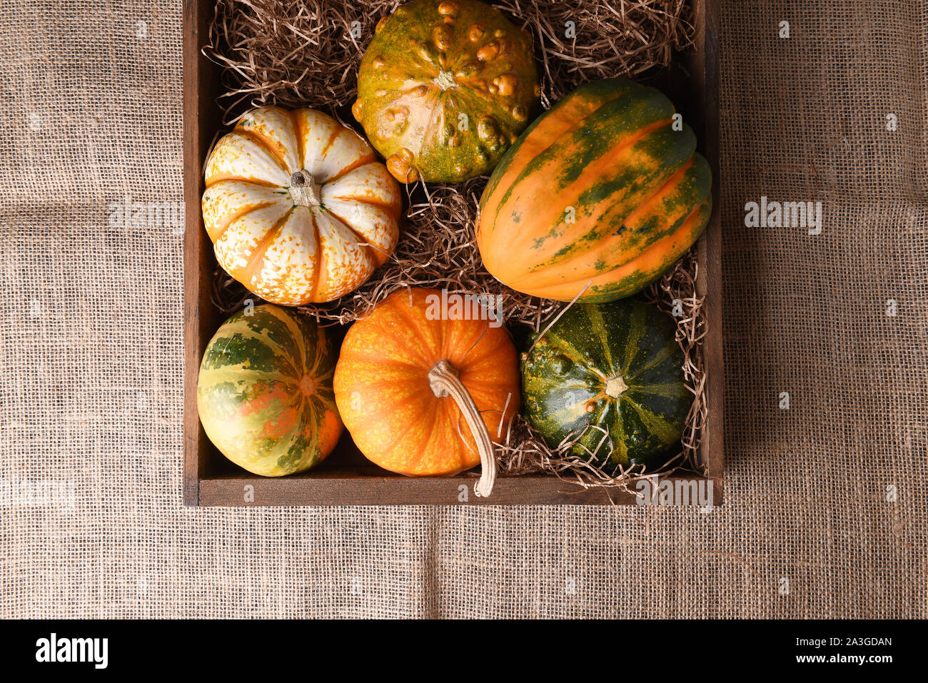 Alta angolazione di un gruppo di autunno zucche, squash e zucche in una scatola di legno su tela. Foto Stock