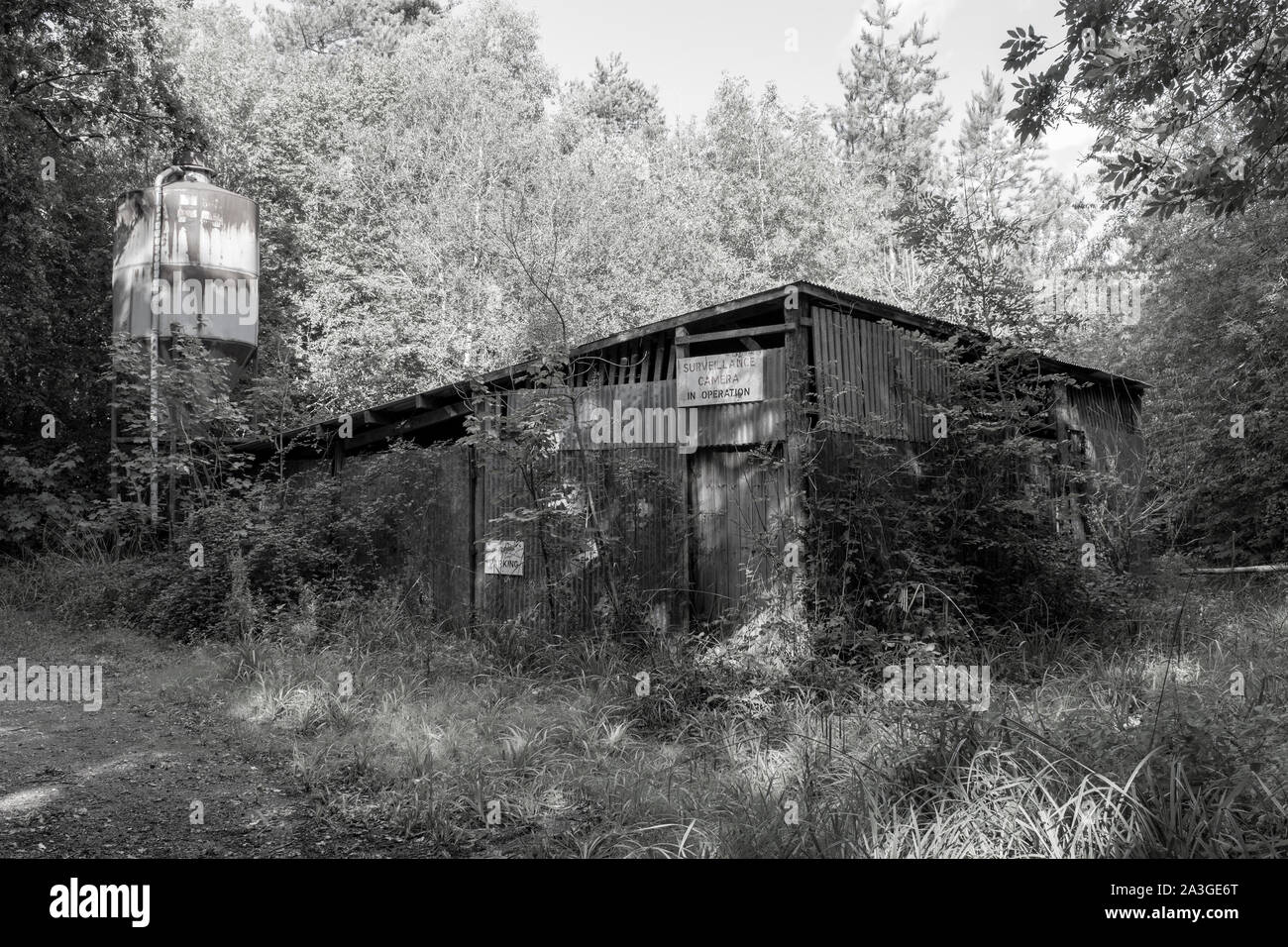 Azienda abbandonata sparso nel bosco con torre di alimentazione. In bianco e nero Foto Stock