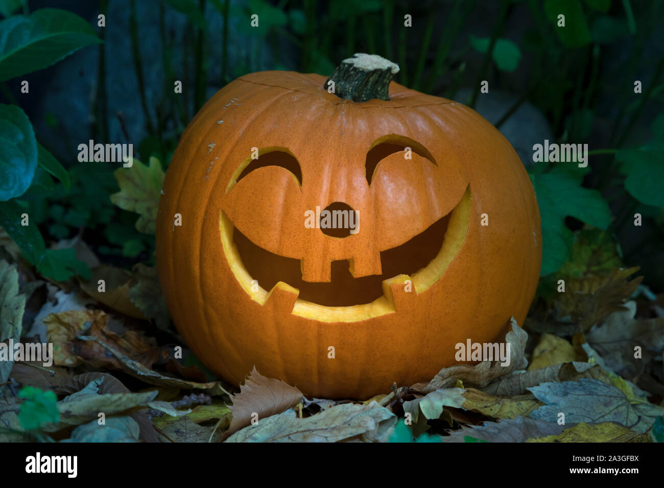 Orange tipo sorridente zucca di Halloween nel giardino nel crepuscolo Foto Stock