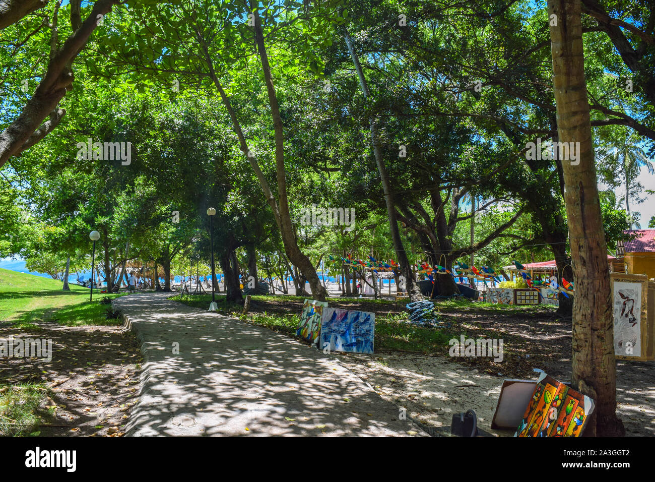 Bellissimo parco sull'isola dei caraibi Foto Stock