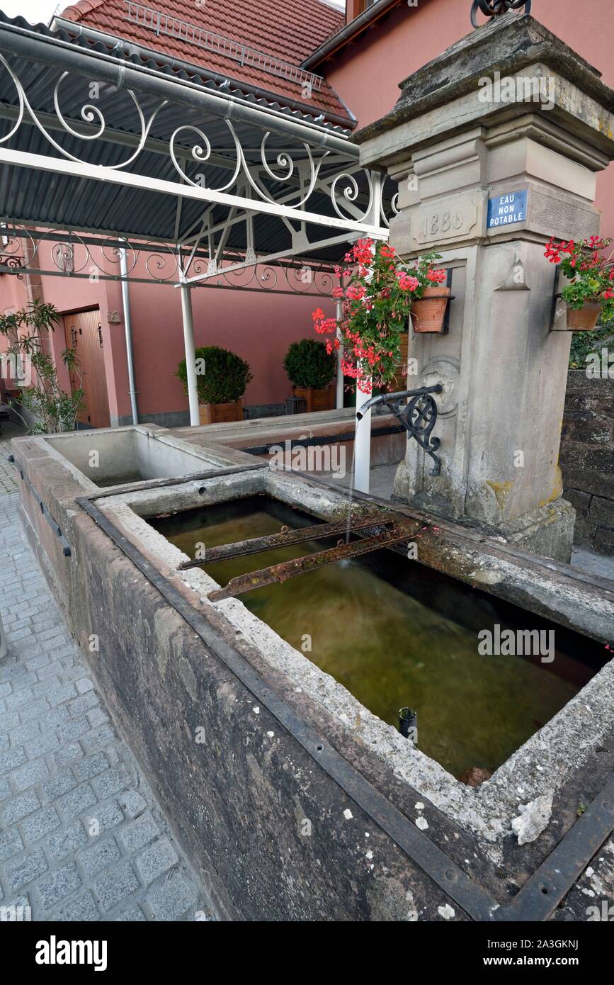 Francia, Bas Rhin, Grendelbruch, lavatoio fontana del 1886, metallo shelter datato l'inizio del XX secolo Foto Stock