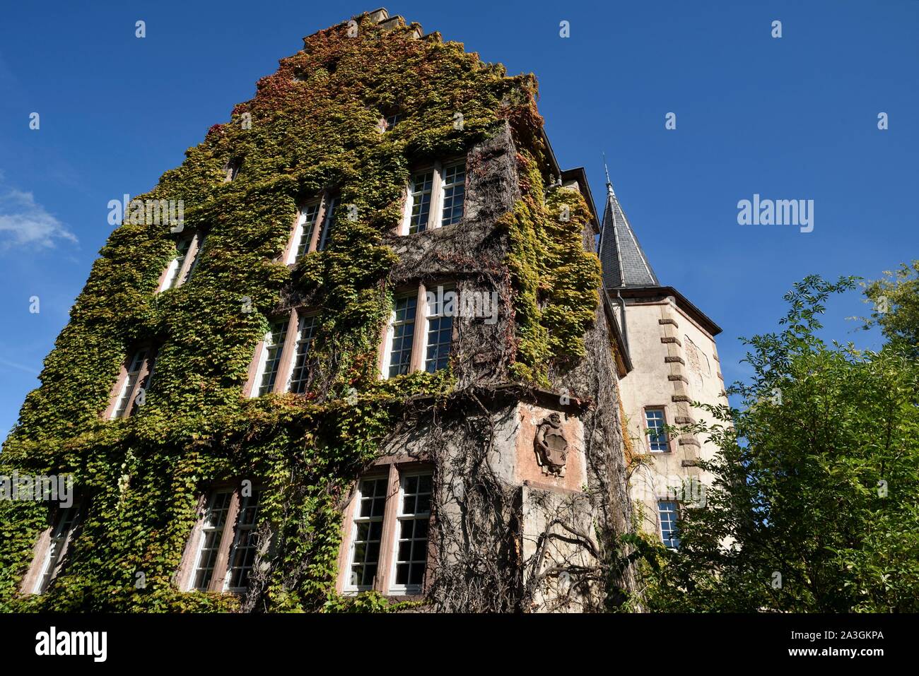 Francia, Haut Rhin, Kientzheim, castello, lato parco, facciata risalenti al XVII secolo, gable, scultura in rappresentanza di Lazare de Schwendi che costruirono il castello Foto Stock