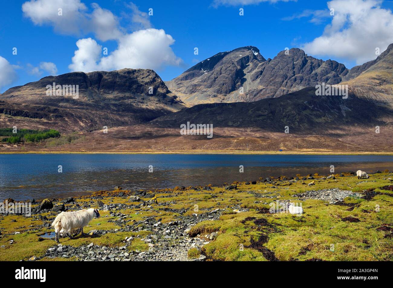 Regno Unito, Scozia, altopiani, Ebridi, Isola di Skye, Loch Slapin verso Torrin e il Red Cuillin Mountains Foto Stock