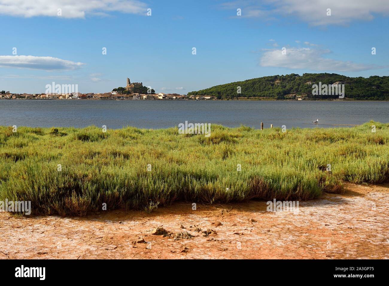 Francia, Aude, Narbonne, Corbieres, Gruissan, il borgo antico e il castello medievale di fortezza militare dominata dalla duecentesca Torre Barberousse Foto Stock