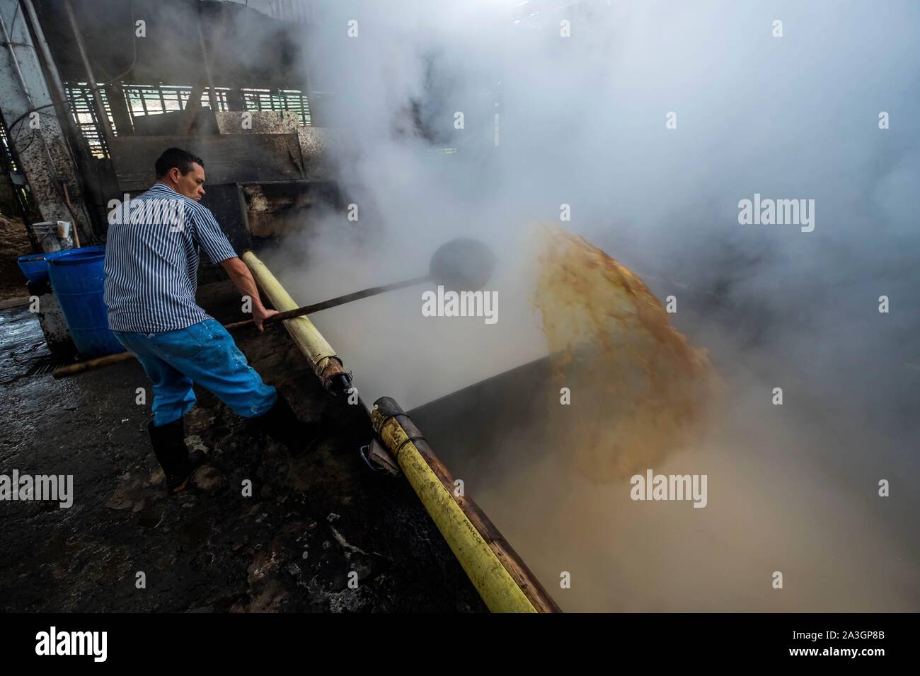 La Colombia, Pereira, trapicheria o atelier di produzione di canella dalla canna da zucchero Foto Stock