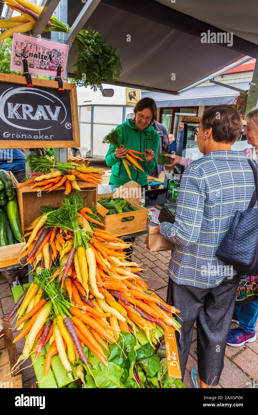 La Svezia, nella contea di Vastra Gotaland, Hokerum, Ulricehamn borgo, Rochat relazione familiare, giorno di mercato Foto Stock
