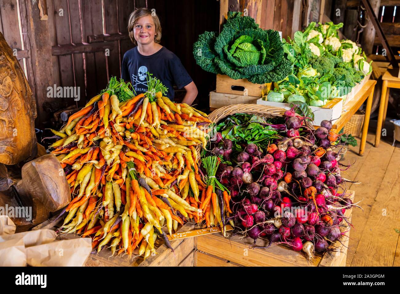 La Svezia, nella contea di Vastra Gotaland, Hokerum, Ulricehamn borgo, Rochat relazione familiare, mercoledì giorno di mercato al negozio della fattoria da 4 pm, Emile molto orgoglioso della sua attività dei genitori Foto Stock