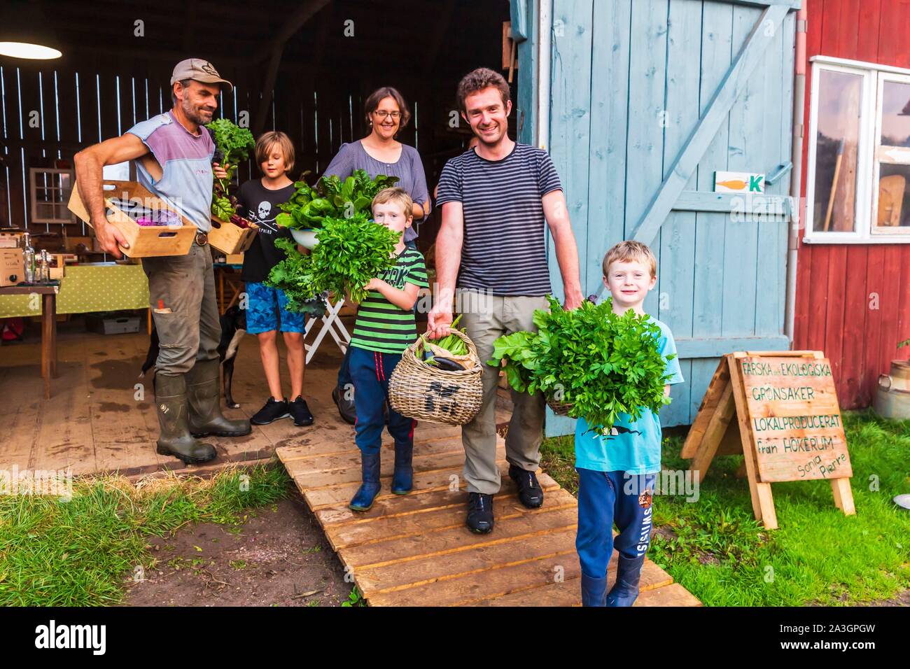 La Svezia, nella contea di Vastra Gotaland, Hokerum, Ulricehamn borgo, Rochat relazione familiare, mercoledì giorno di mercato al negozio della fattoria da 4 pm, Vivien il cuoco del ristorante Vilhelemsro è venuto per ottenere le verdure con la famiglia Foto Stock