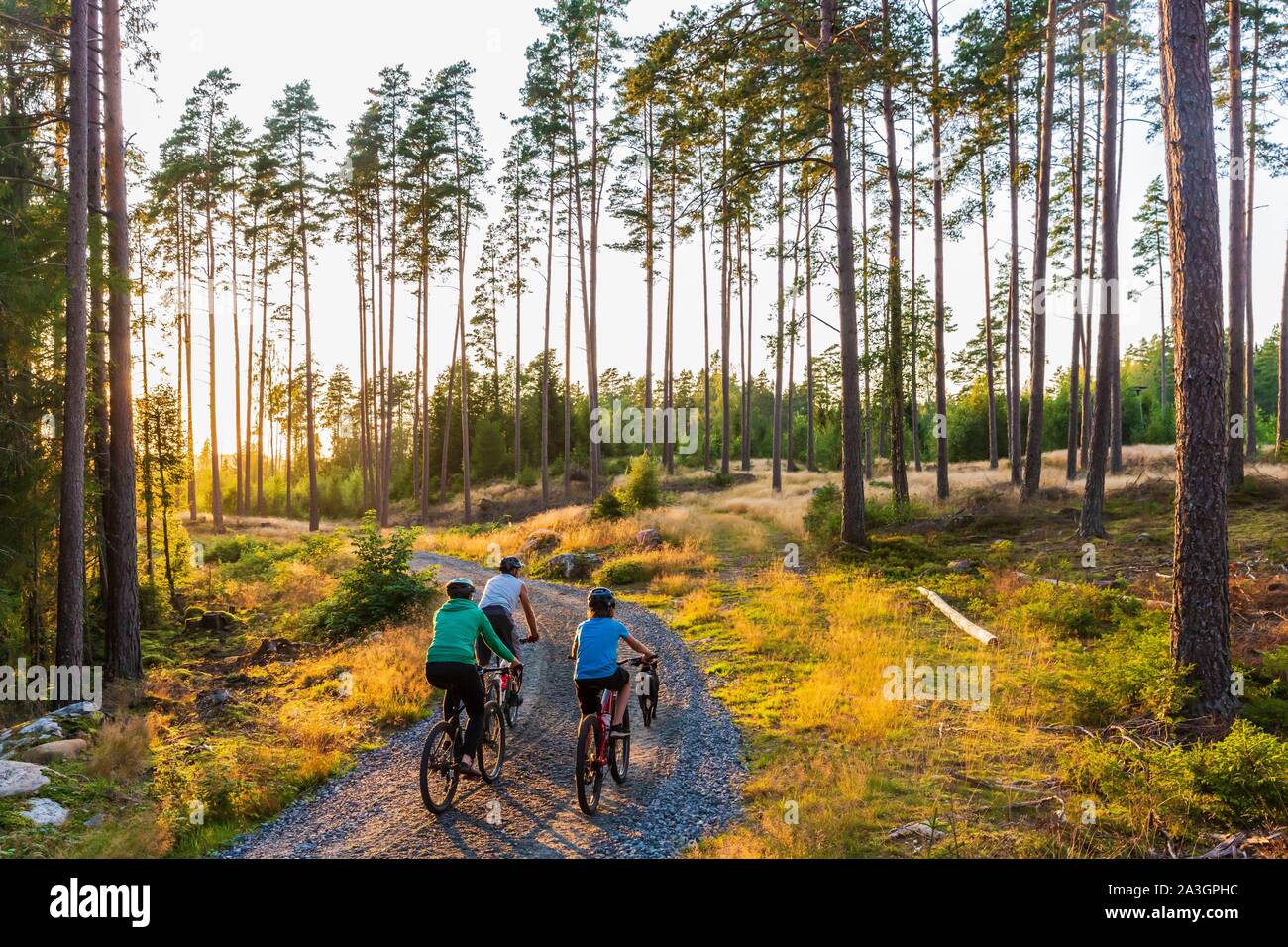 La Svezia, nella contea di Vastra Gotaland, Hokerum, Ulricehamn borgo, Rochat relazione familiare, relax in famiglia la domenica per uno dei laghi intorno alla casa e indietro attraverso la foresta con Brindille Foto Stock