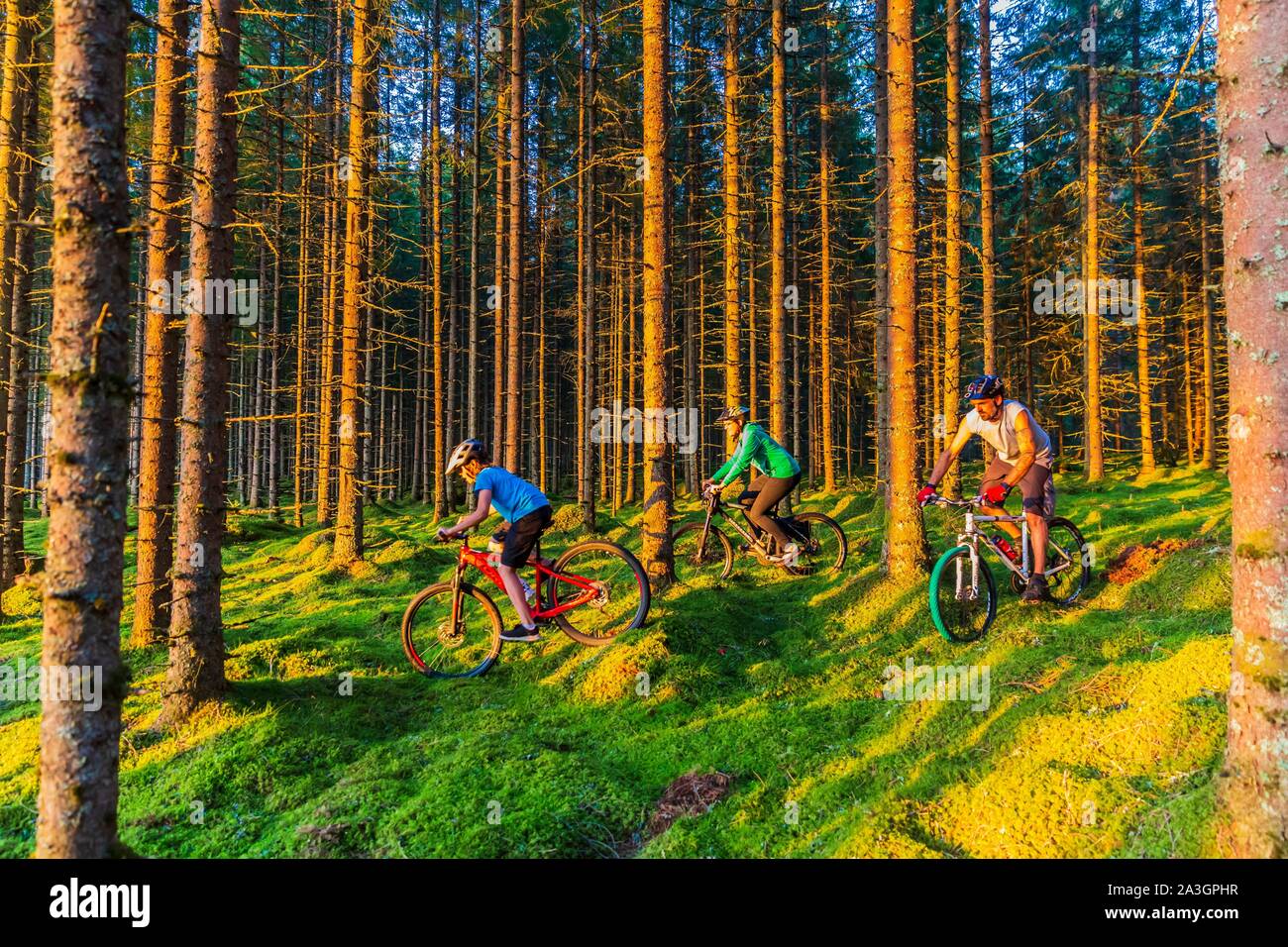 La Svezia, nella contea di Vastra Gotaland, Hokerum, Ulricehamn borgo, Rochat relazione familiare, relax in famiglia la domenica per uno dei laghi intorno alla casa e indietro attraverso la foresta Foto Stock