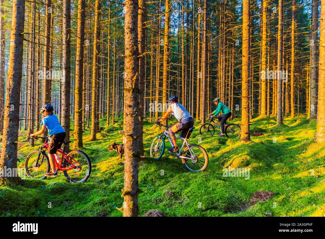 La Svezia, nella contea di Vastra Gotaland, Hokerum, Ulricehamn borgo, Rochat relazione familiare, relax in famiglia la domenica per uno dei laghi intorno alla casa e indietro attraverso la foresta con Brindille Foto Stock