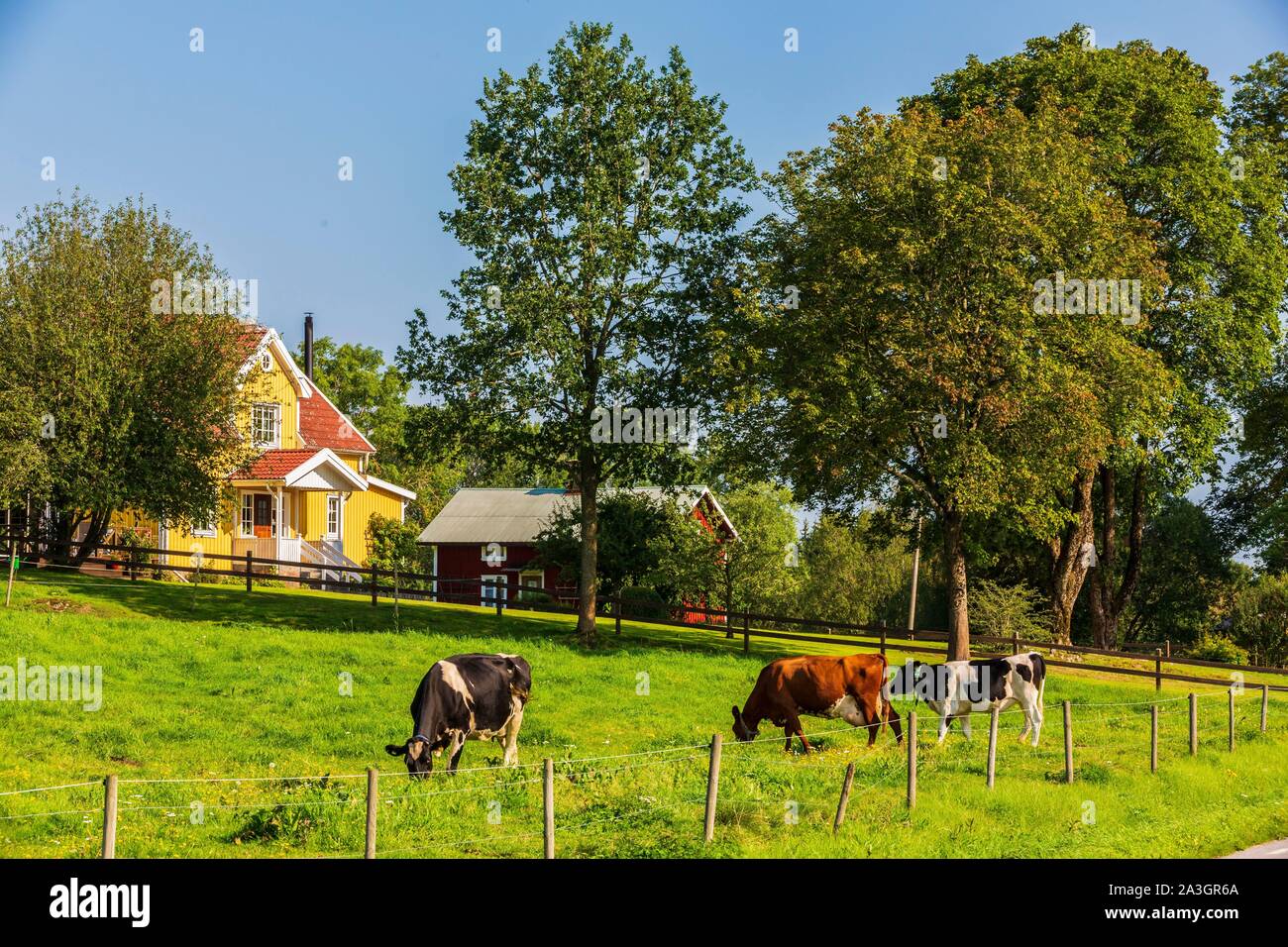 La Svezia, nella contea di Vastra Gotaland, Hokerum, Ulricehamn hamlet Foto Stock