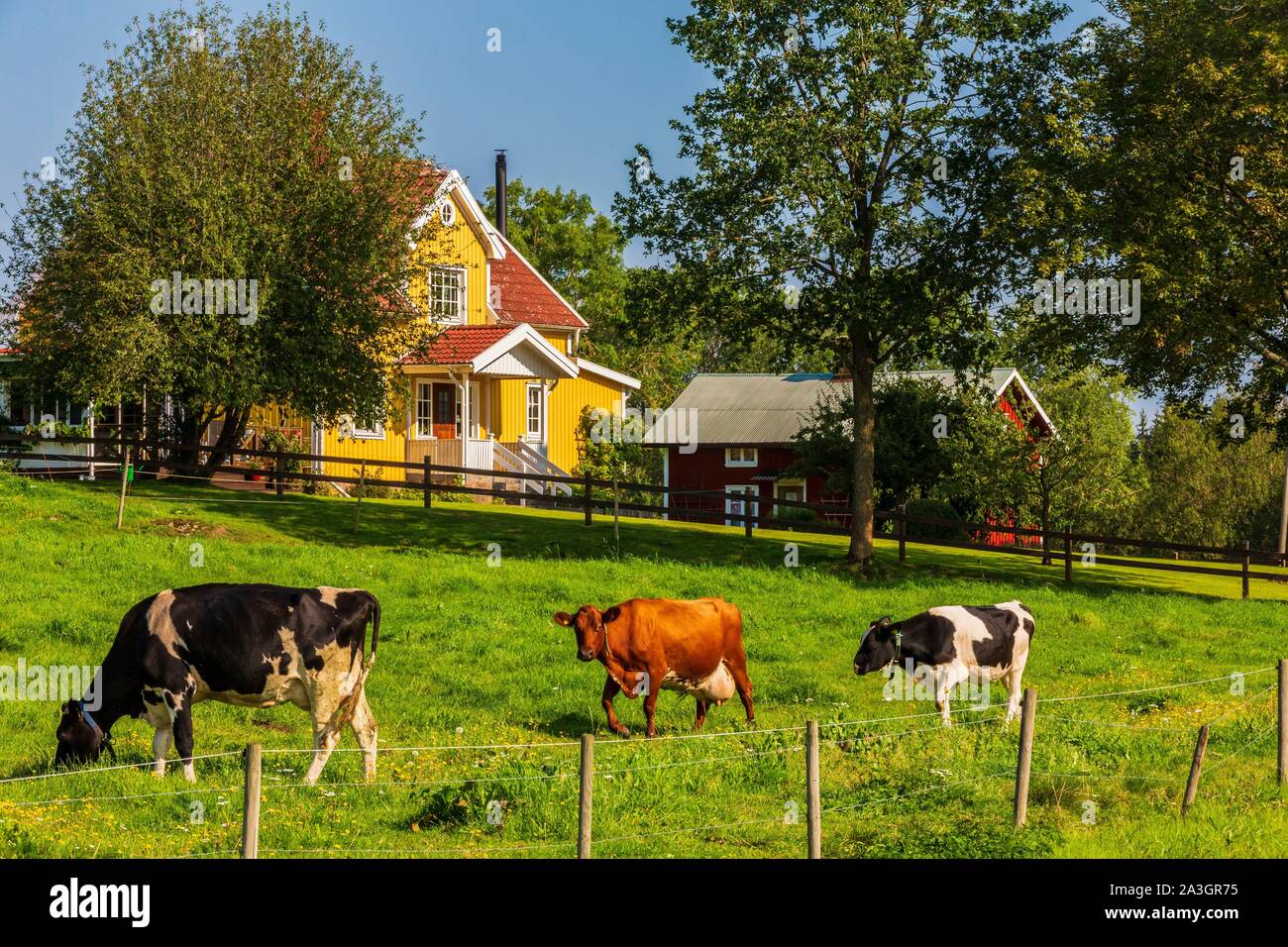 La Svezia, nella contea di Vastra Gotaland, Hokerum, Ulricehamn hamlet Foto Stock