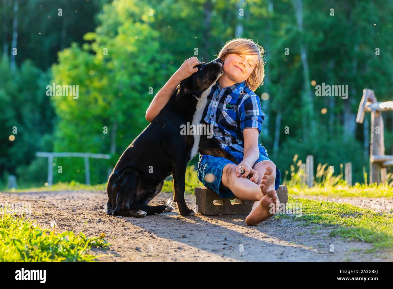 La Svezia, nella contea di Vastra Gotaland, Hokerum, Ulricehamn borgo, Rochat relazione familiare, Emile et Brindille Foto Stock