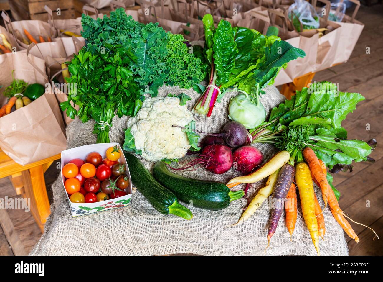 La Svezia, nella contea di Vastra Gotaland, Hokerum, Ulricehamn borgo, Rochat relazione familiare, l'esempio di un grande cesto per la Reko mercato ad anello Foto Stock