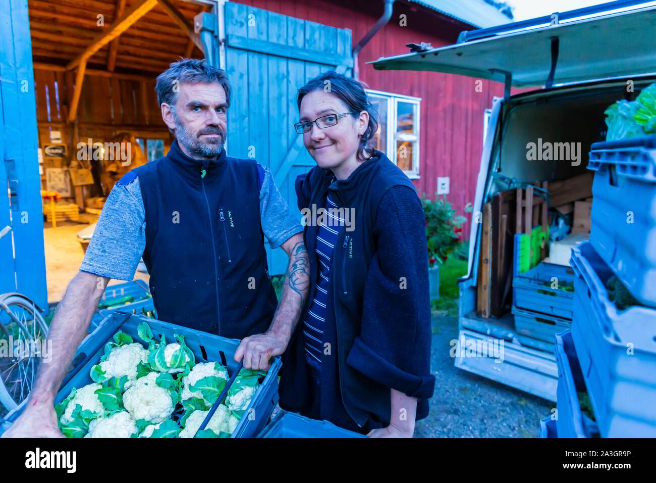 La Svezia, nella contea di Vastra Gotaland, Hokerum, Ulricehamn borgo, Rochat relazione familiare , Pierre e Sonia preparare il mercato dopo un grande giorno Foto Stock