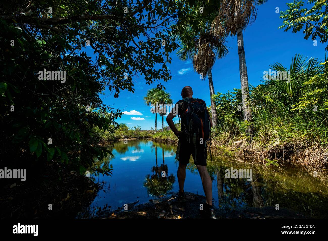 La Colombia, Llanos, Cazuarito, laguna San Roque Foto Stock