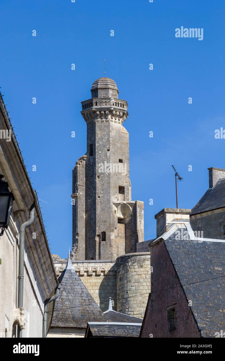 Francia, Indre et Loire, Le Grand Pressigny, Grand Pressigny Castello, Museo della Preistoria di Grand Pressigny Foto Stock