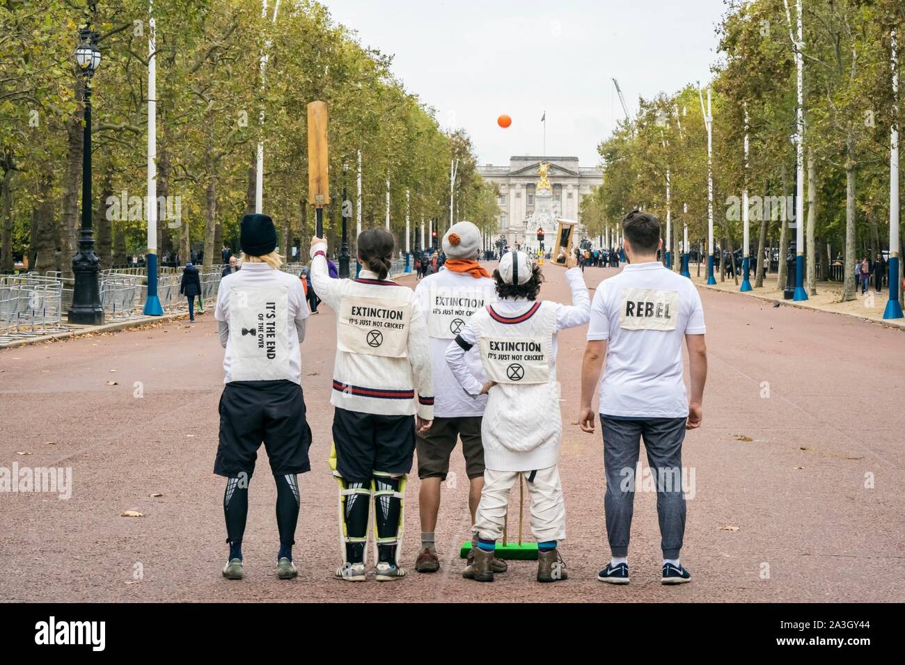 Londra, Regno Unito. 8 Ottobre, 2019. Estinzione della ribellione manifestanti giocare una partita di cricket sul Mall a Londra, Regno Unito. Credito: Vladimir Morozov/akxmedia. Foto Stock