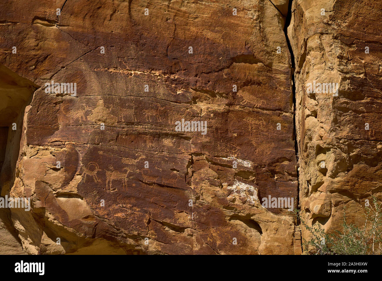 Nativo americana di arte rupestre in nove-mile Canyon dello Utah, Stati Uniti d'America Foto Stock