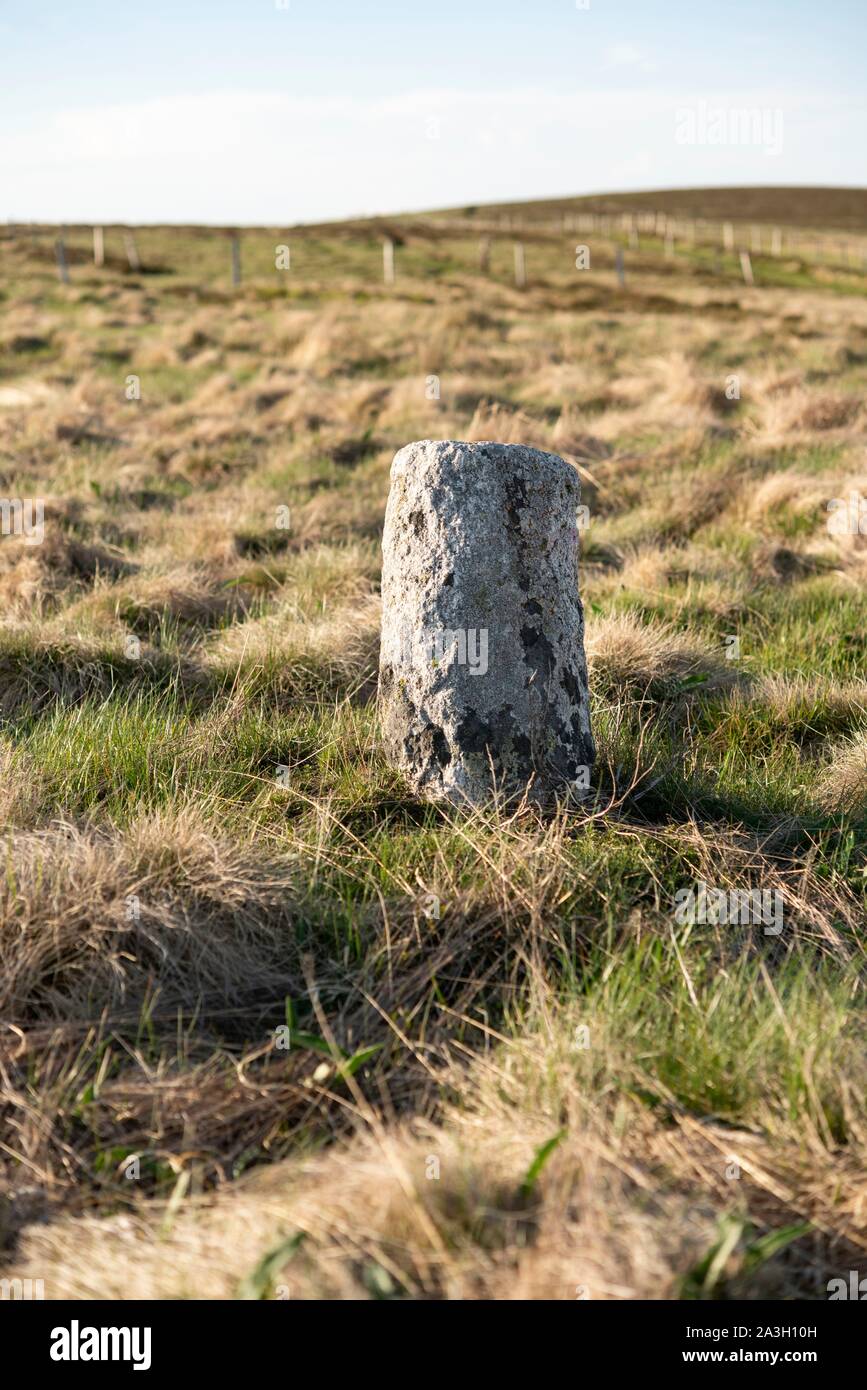 Francia, Puy de Dome, Saint Pierre la Bourlhonne, il parco naturale regionale di Livradois Forez, Forez mountain range, le Hautes Chaumes Foto Stock