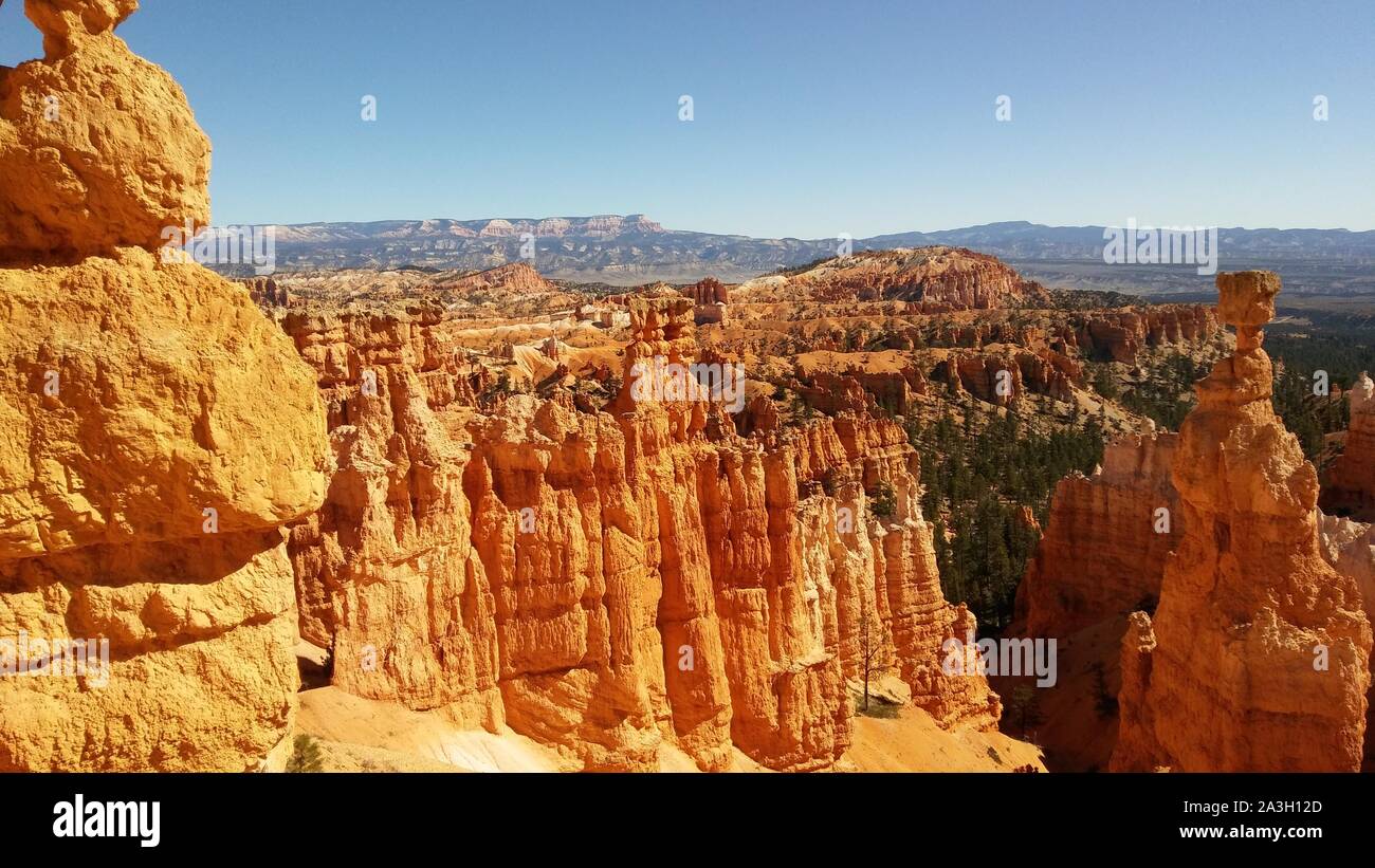 Parco Nazionale di Bryce Canyon, Utah - USA Foto Stock