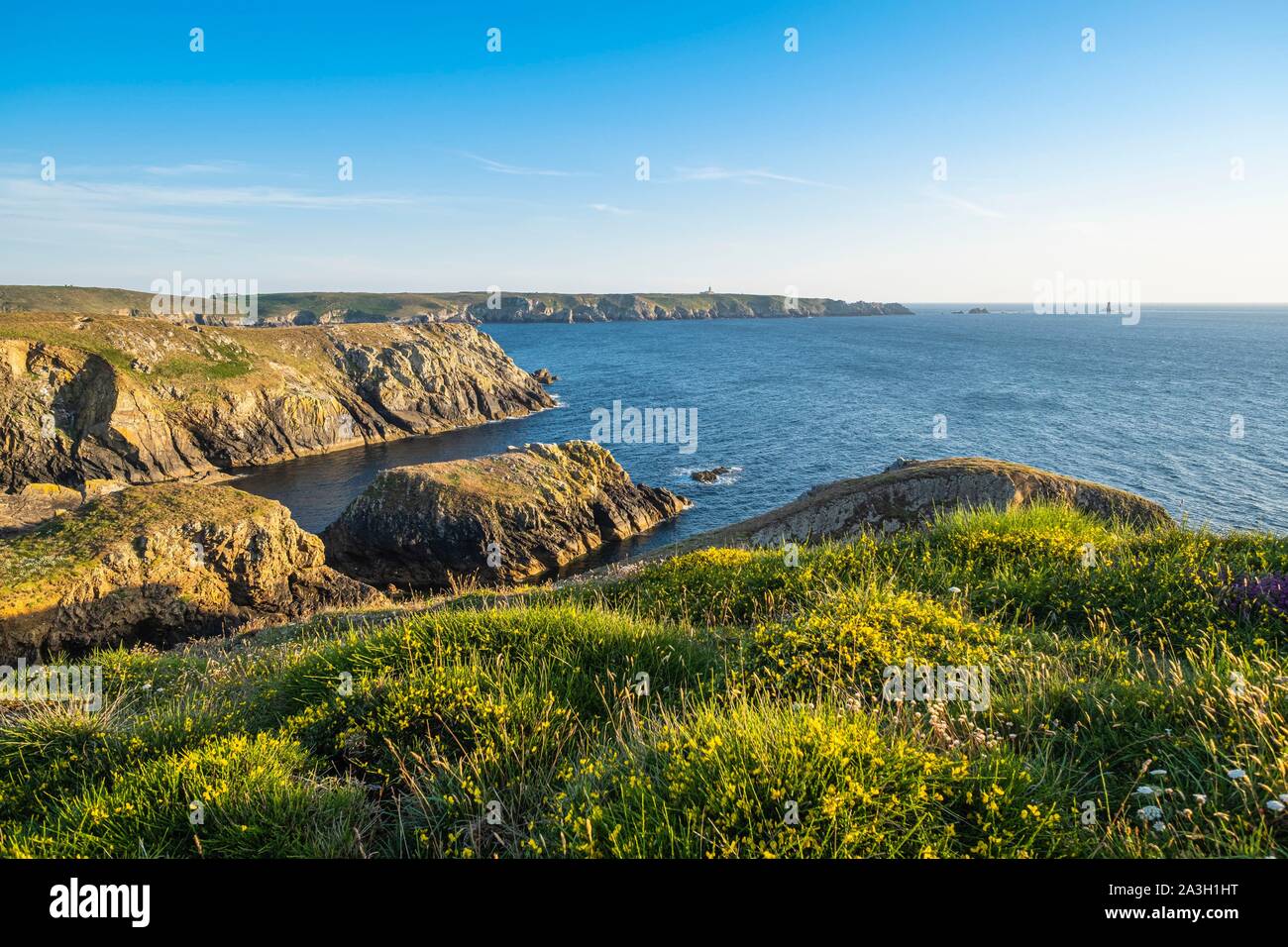 Francia, Finisterre, Cleden-Cap-Sizun, Pointe du Van e Pointe du Raz in background Foto Stock