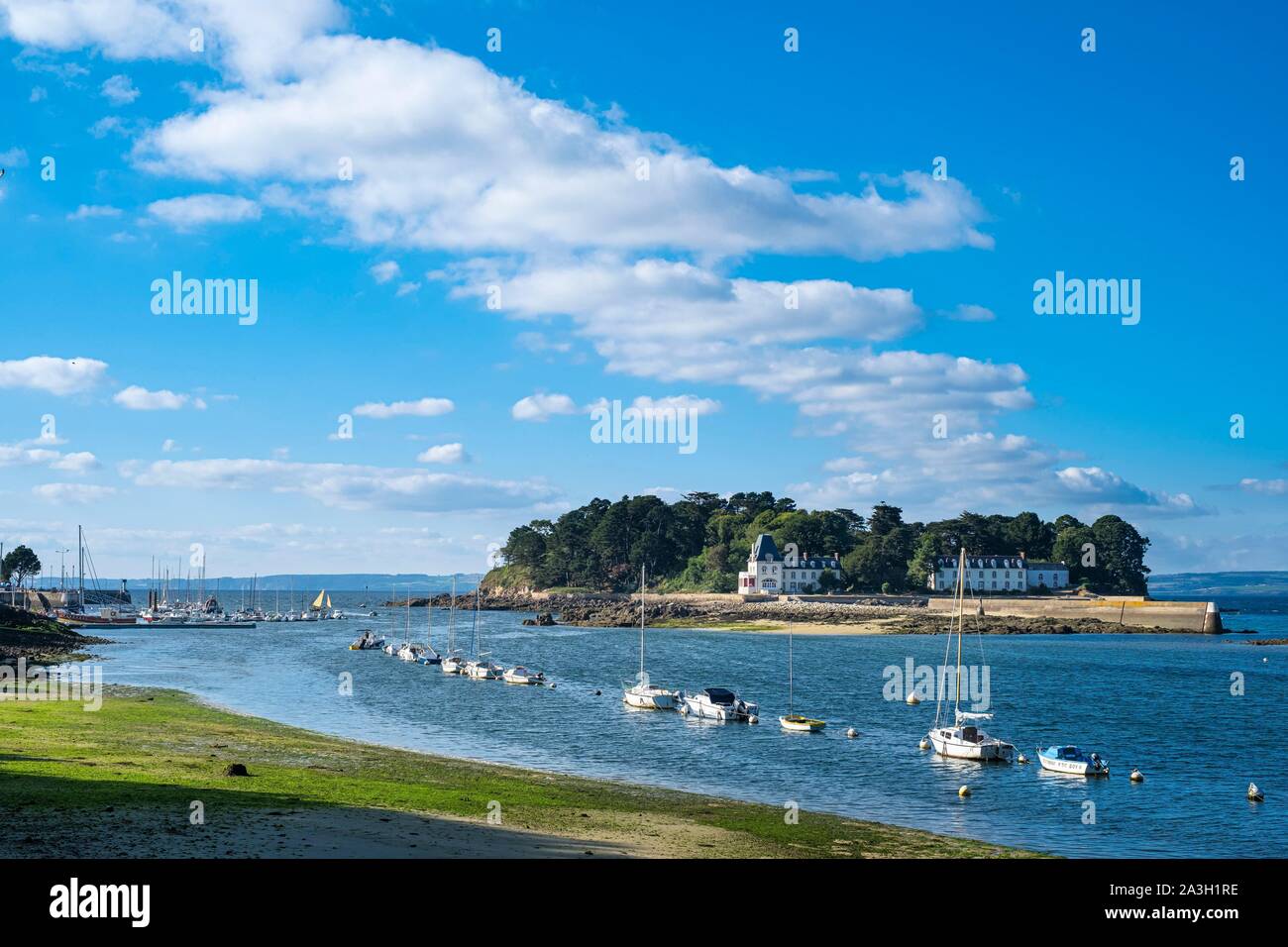 Francia, Finisterre, DOUARNENEZ, Tristan isola Foto Stock