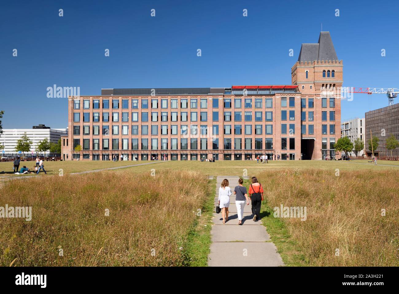 Francia, Nord, Lille, distretto di Bois Blancs, EuraTechnologies business park polo di eccellenza dedicato alle TIC della metropoli di Lille svolge nel Blan Lafont che è una vecchia filanda costruito nel 1900, tre donne visto dal retro a piedi su un percorso tra erba alta Foto Stock