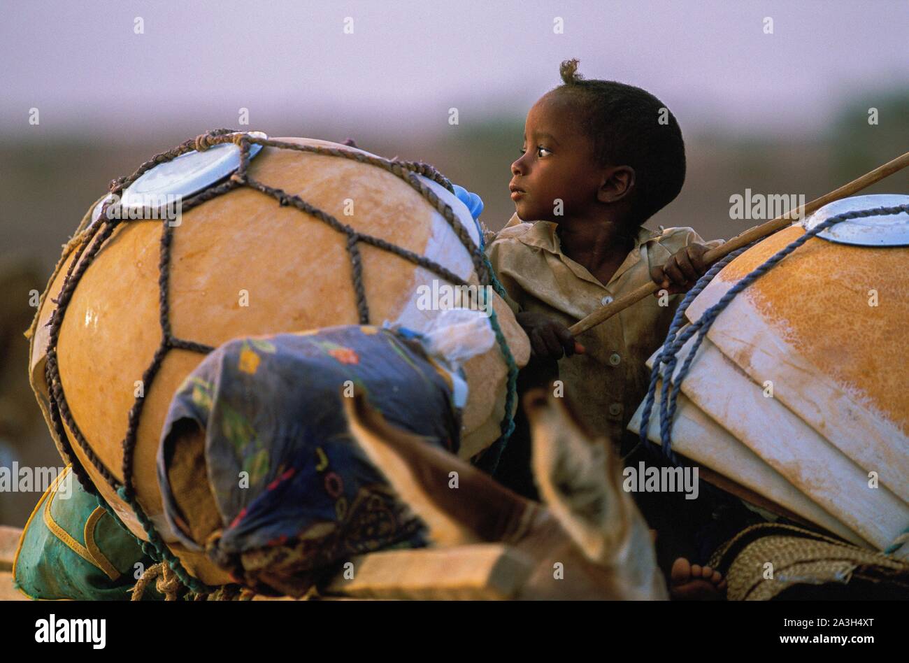 Niger, Ingall, nomadi Peul e i loro greggi Foto Stock