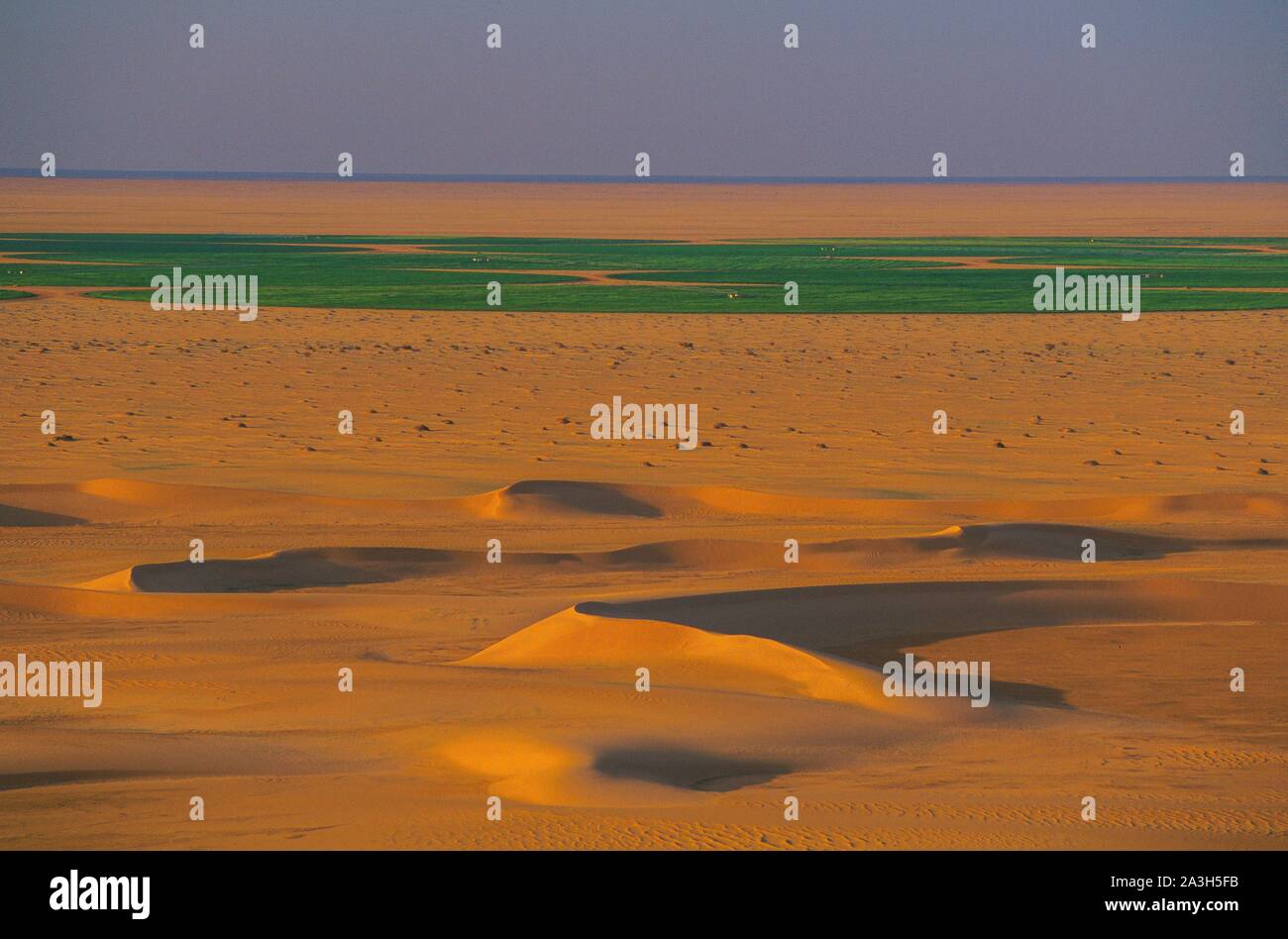 Libia, Sahara, Cerchio cultura in Mourzouq erg Foto Stock