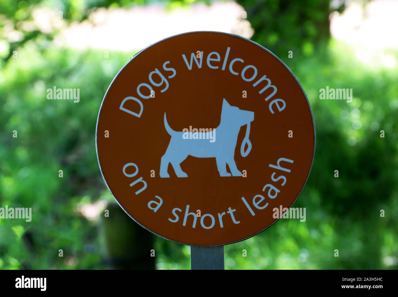 Cani ammessi segno in un parco urbano Foto Stock