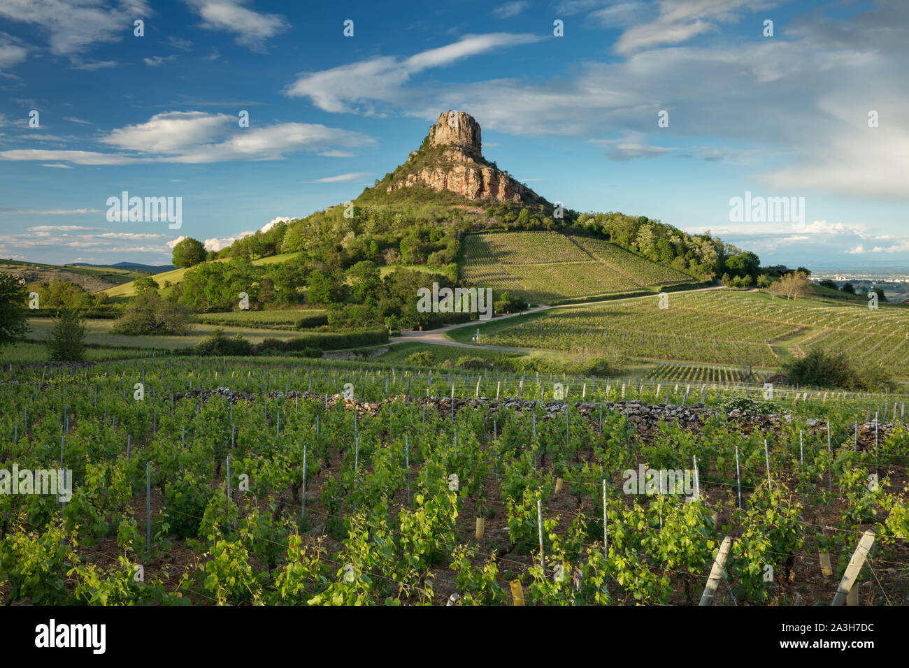 La Roche de Solutré, Solutré-Pouilly, Bourgogne, Francia Foto Stock