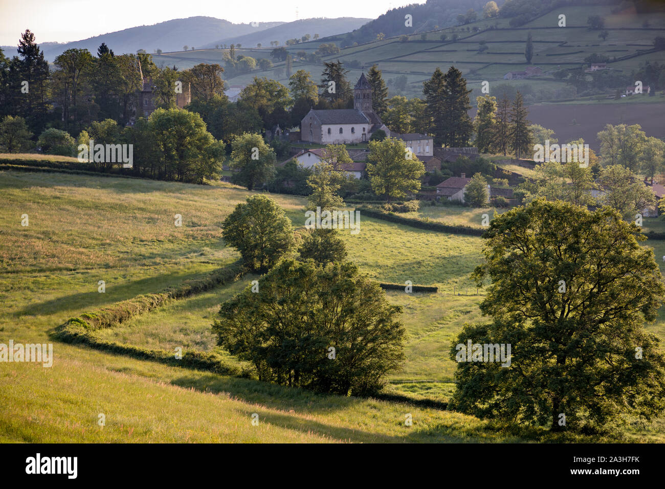 Prima luce sulla campagna intorno a Chateau de Lamartine, Saint Point, Bourgogne, Francia Foto Stock
